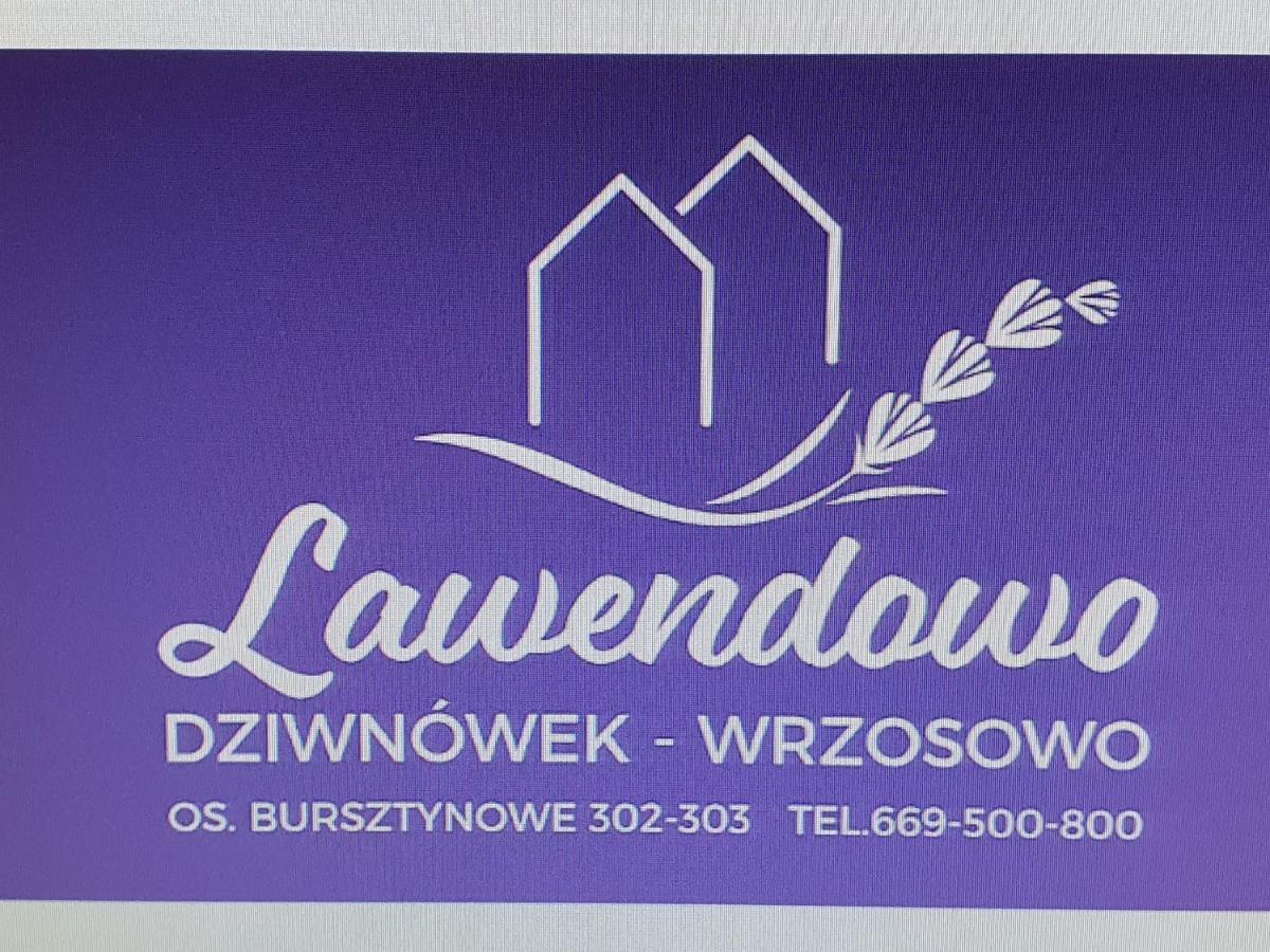 Lawendowo *